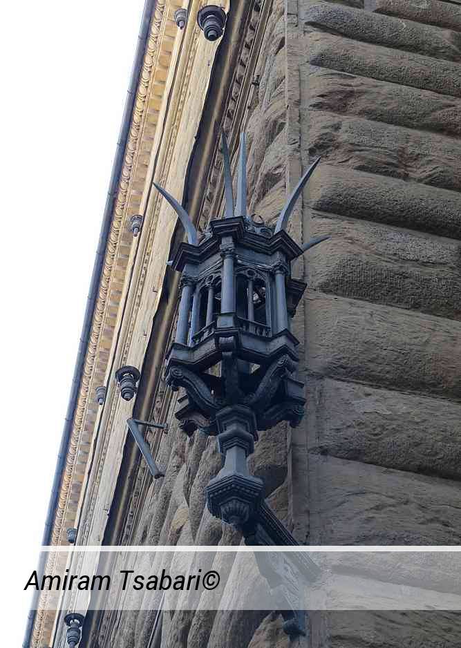 גבעולי בצל מעודנים ונפלאים.