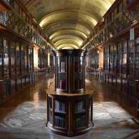 הספרייה המלכותית של טורינו: קודקס מעוף הציפורים ואוצרות נוספים
